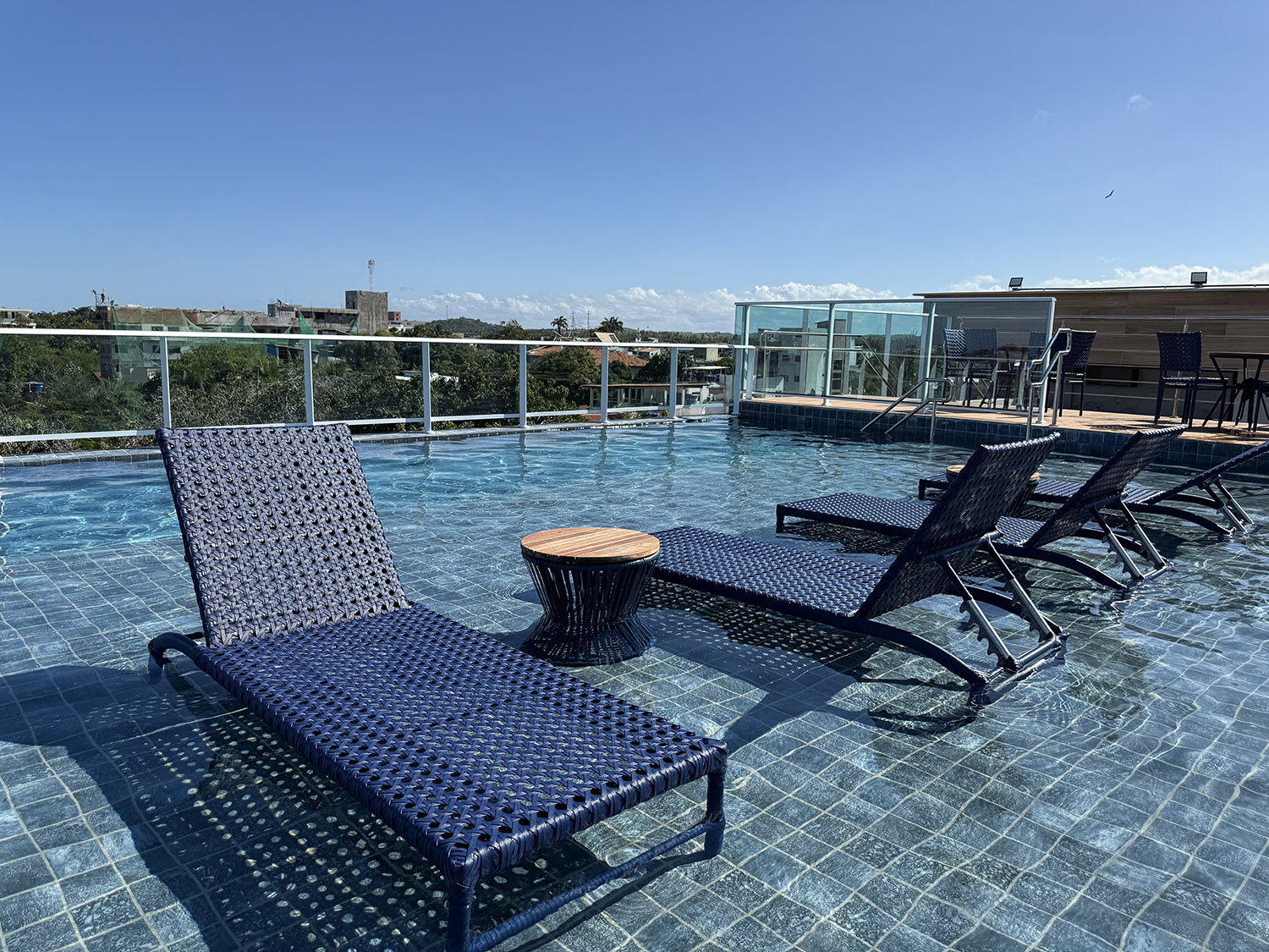 Piscina cercada por coqueiros